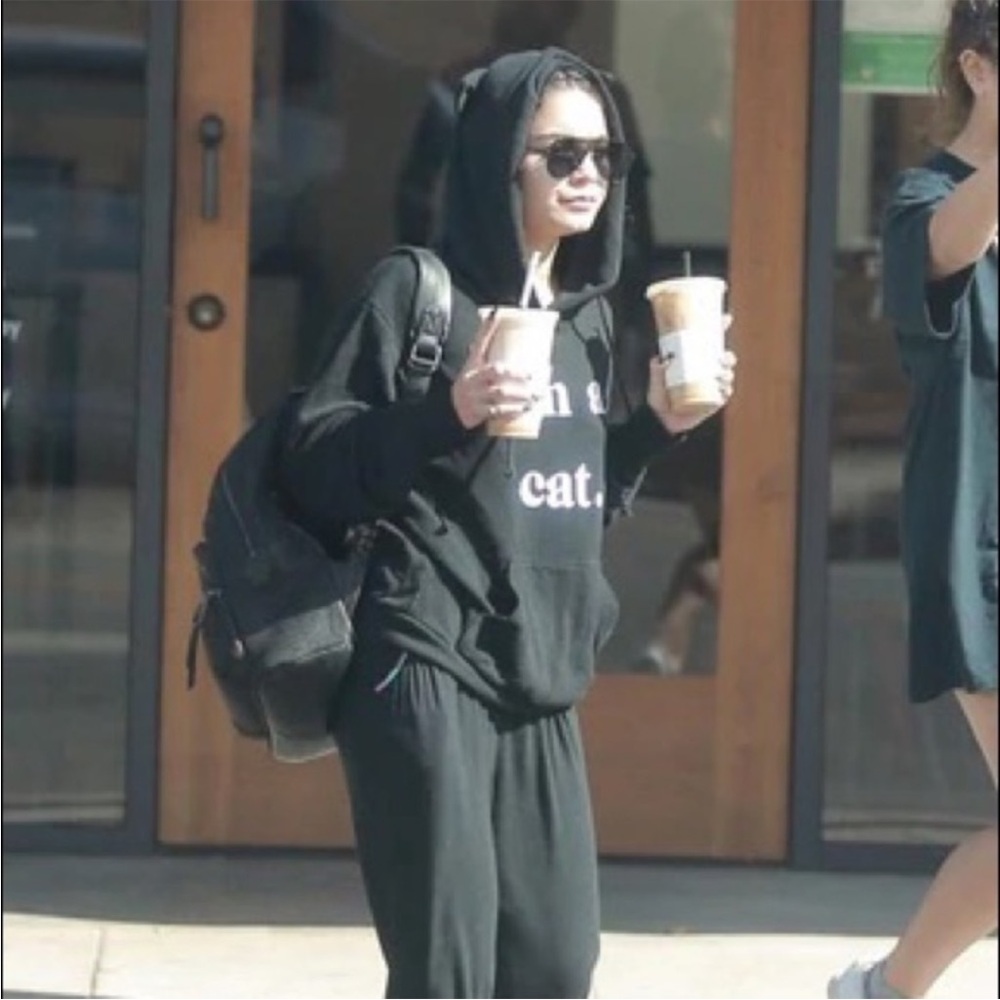 🐈⬛WILDFOX RARE “I’m A Cat” 3D Ears Hoodie Charcoal Gray Black ASO Paris Hilton - Picture 3 of 13